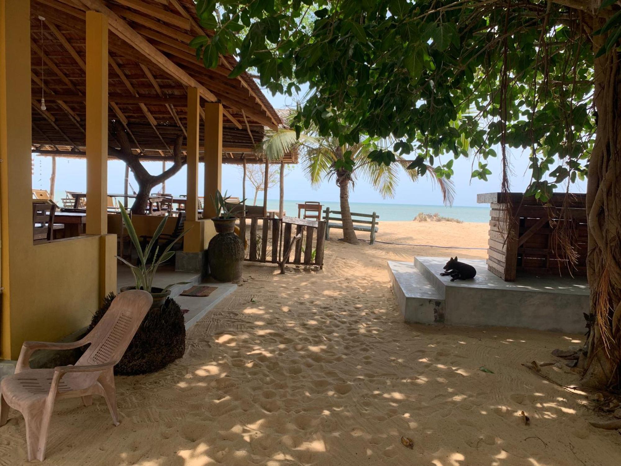 Ocean View Beach Resort - 卡尔皮蒂耶 外观 照片